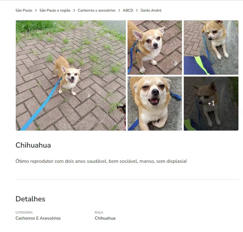 Imagem da campanha Ajude o Jorge