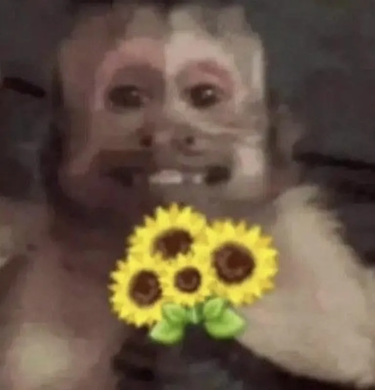 Imagem da campanha Rifa da Ana