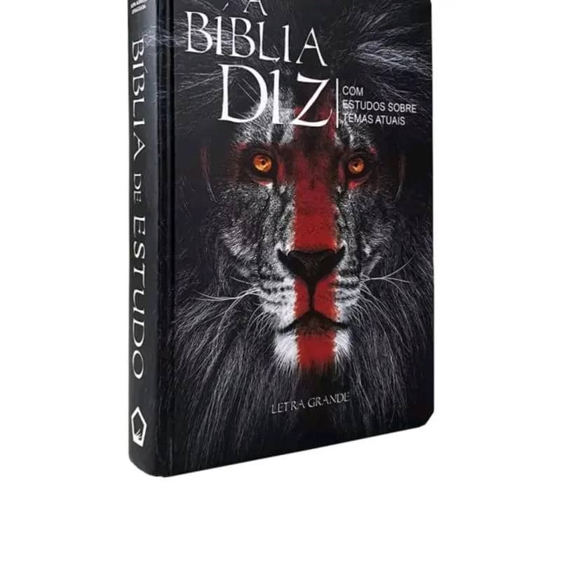 Imagem da campanha Rifa solidária 400 reais no Pix