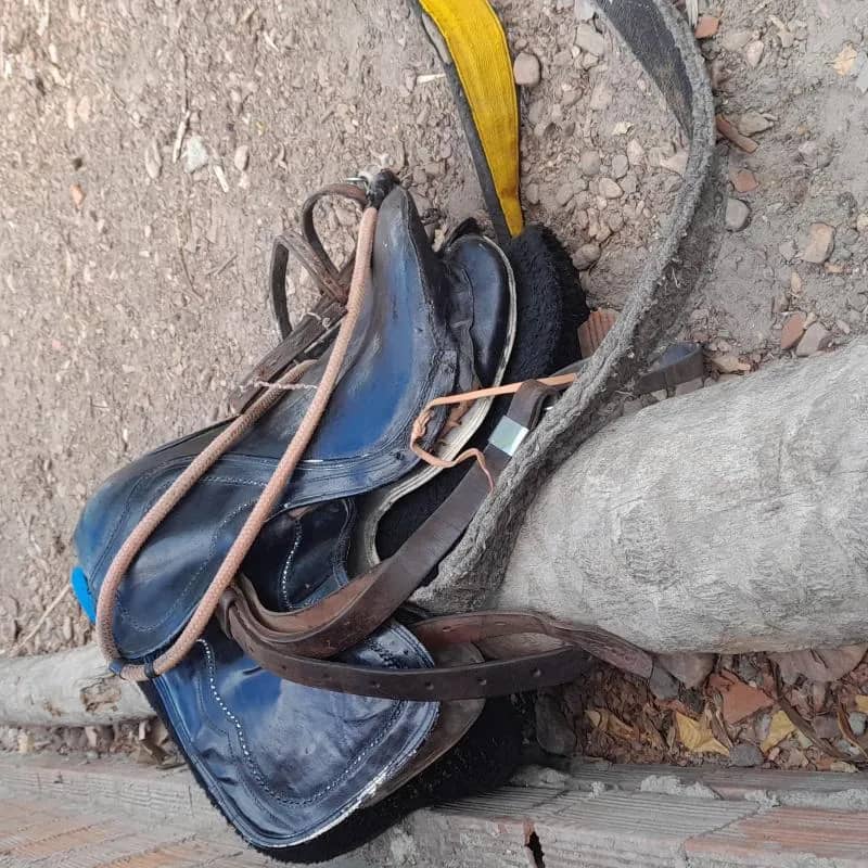 Imagem da campanha Rifa de uma sela de vaquejada