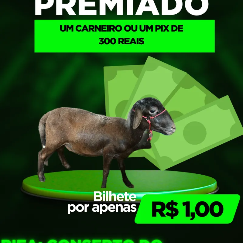 Imagem da campanha Conserto do golzinho