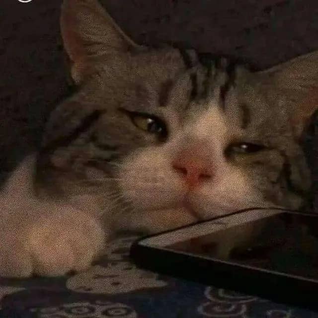 Imagem da campanha .