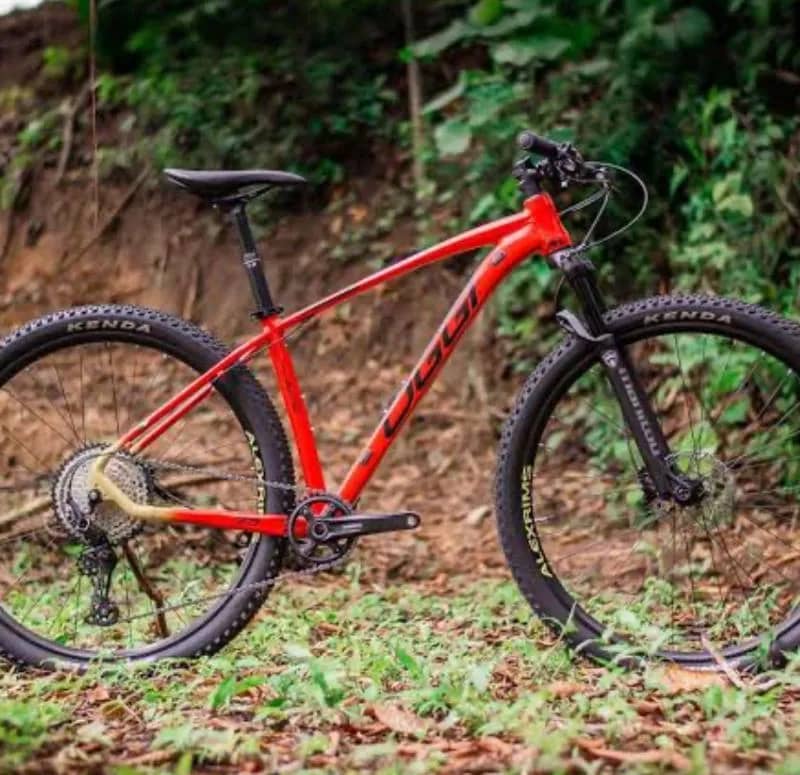 Imagem da campanha BICICLETA ARO 29