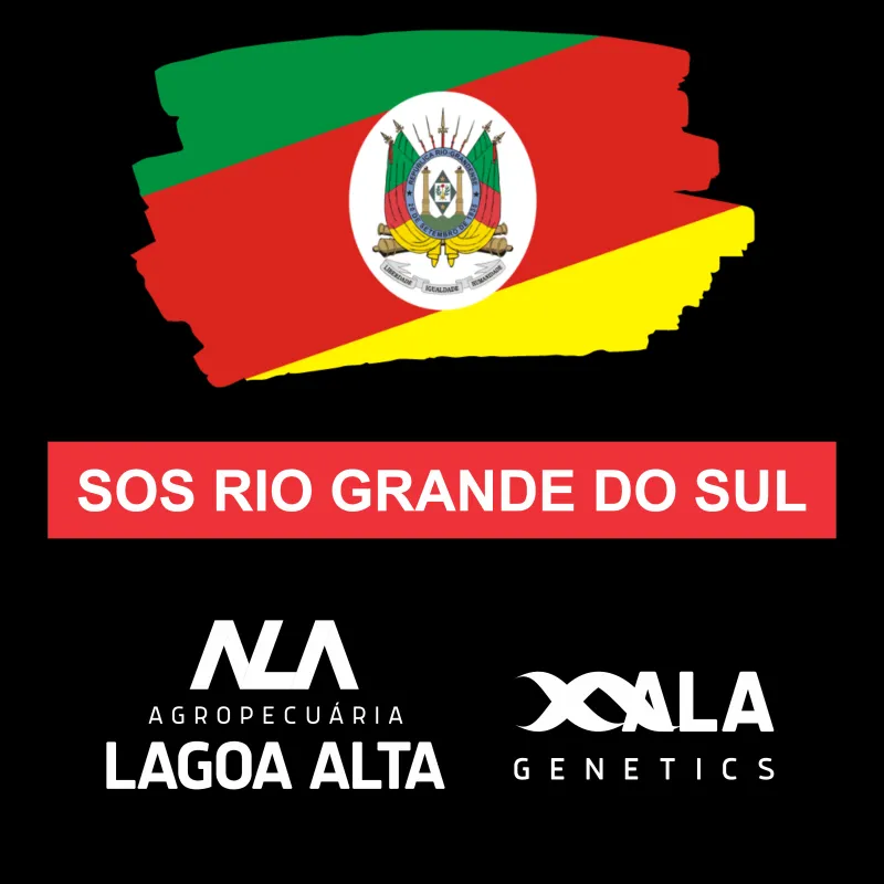 Imagem da campanha SOS RIO GRANDE DO SUL - ALA GENETICS/LAGOA ALTA