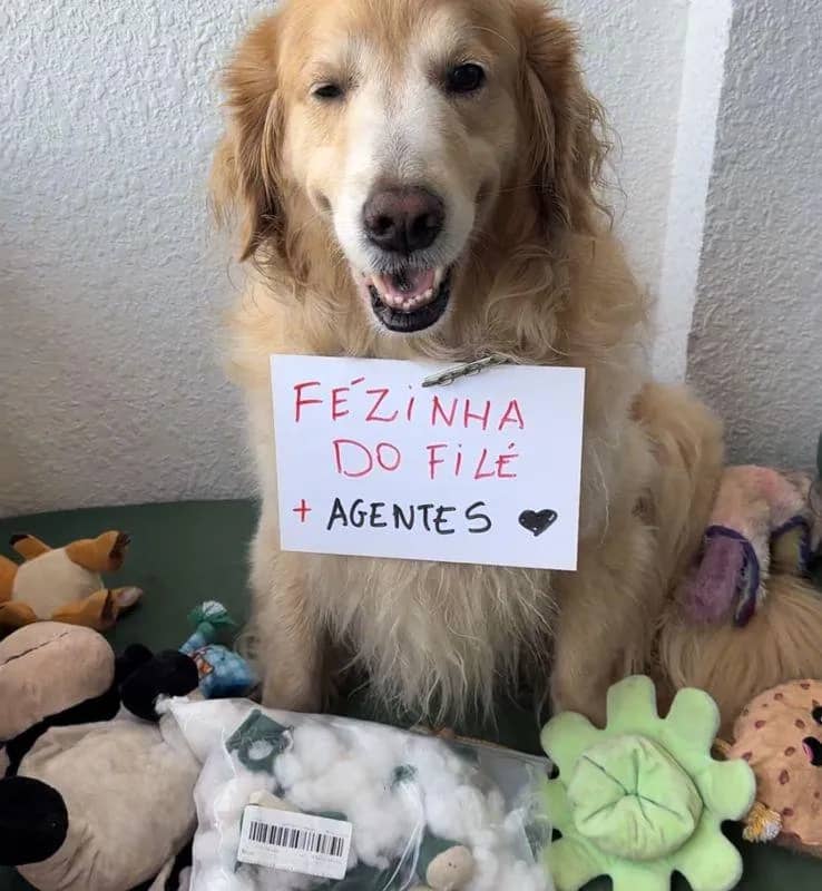 Imagem da campanha Fézinha do Filé + agentes