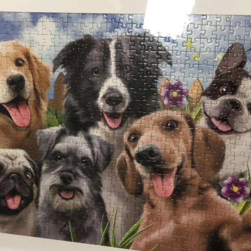 Imagem da campanha Rifa solidária do Itamar