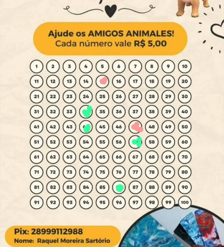 Imagem da campanha Rifa Amizades Animales