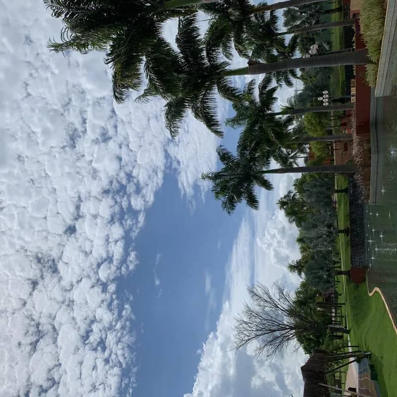 Imagem da campanha Teste