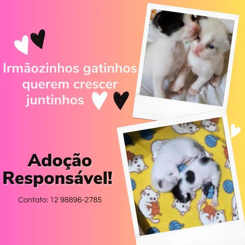 Imagem da campanha Rifa solidária