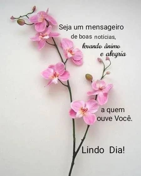 Imagem da campanha Ajude Ana Alice