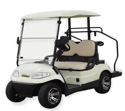 Imagem da campanha SORTEIO DE CARRO DE GOLFE - DOAÇÃO PARA AUXÍLIO ÀS VÍTIMAS DA ENCHENTE