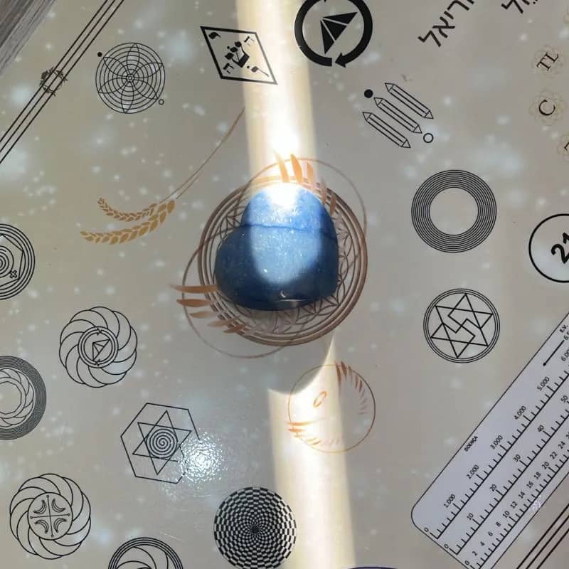 Imagem da campanha MPA solidária