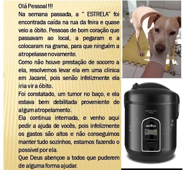 Imagem da campanha AJUDE A " ESTRELA"