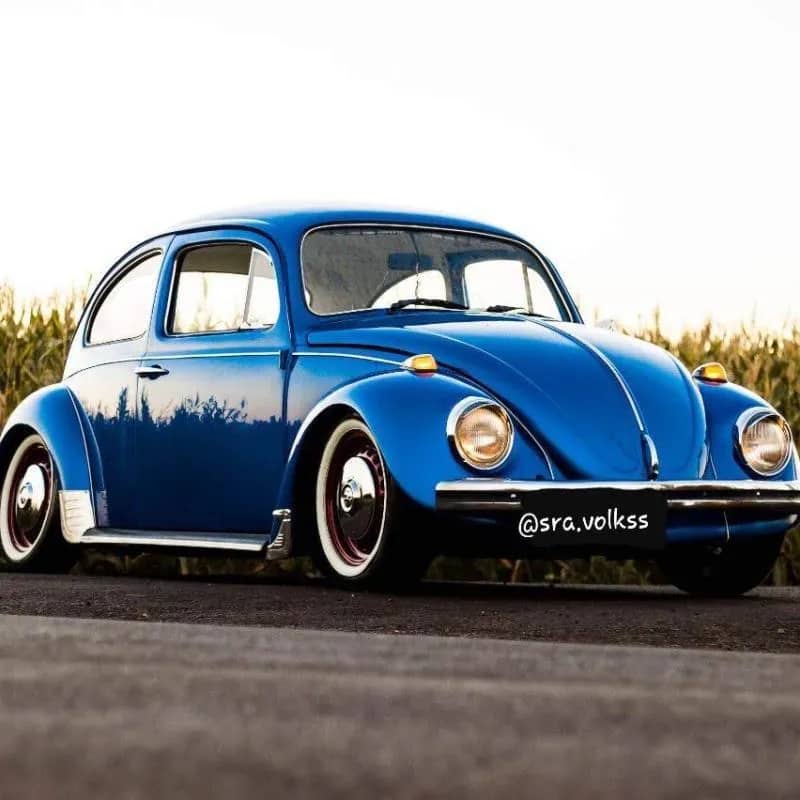 Imagem da campanha Rifando a Senhora Lenzi