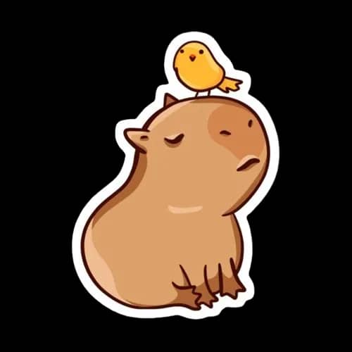 Imagem da campanha Campanha teste