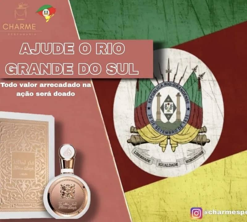 Imagem da campanha Ajude o Rio grande do sul