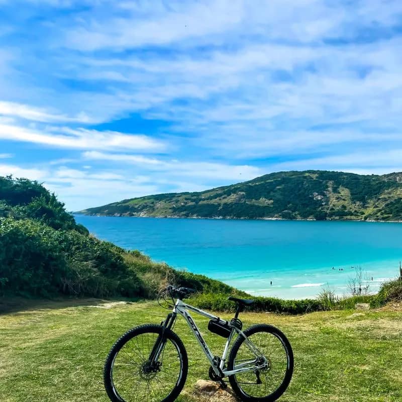 Imagem da campanha Rifa solidária: Carro de trabalho do Lulu