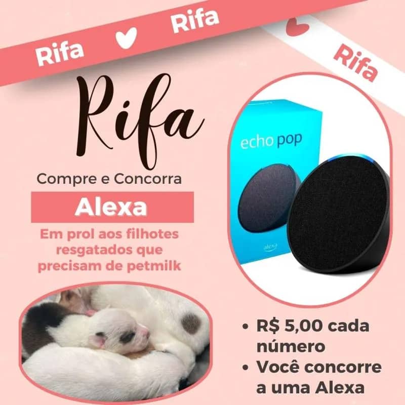 Imagem da campanha Ação em prol dos Animais resgatados *VALENDO UMA ALEXA*