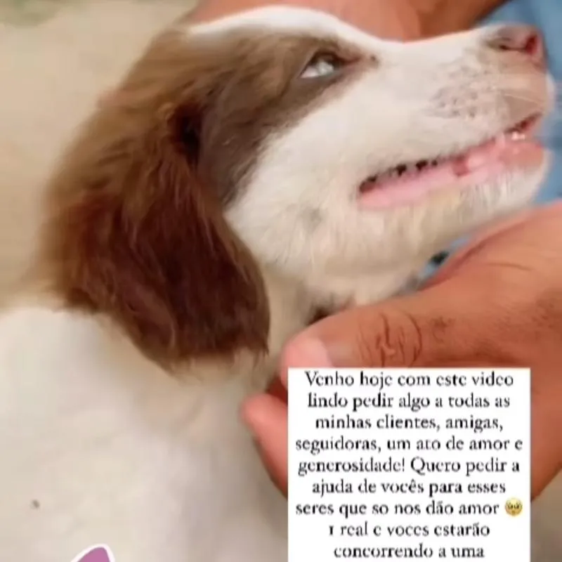 Imagem da campanha Rifa Beneficente premio 100,00  🍀