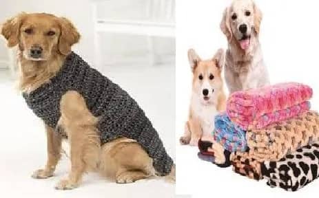 Imagem da campanha PARA COMPRA DE ROUPINHAS AOS DOGUINHOS E GATINHOS DESABRIGADOS