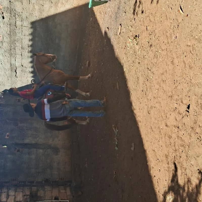 Imagem da campanha Concretar baías dos cavalos