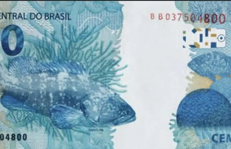 Imagem da campanha Ajude o Kilate a sobreviver ❤️‍🩹