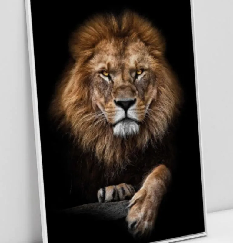 Imagem da campanha Lindo quadro !