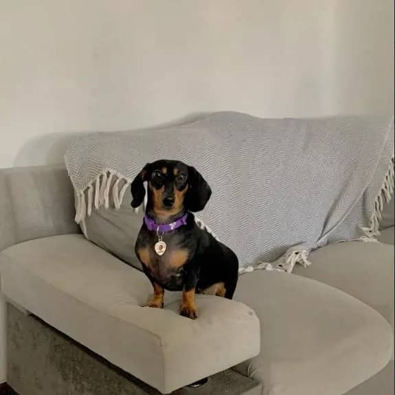 Imagem da campanha TOMOGRAFIA DE LOMBAR - FRANCISCA