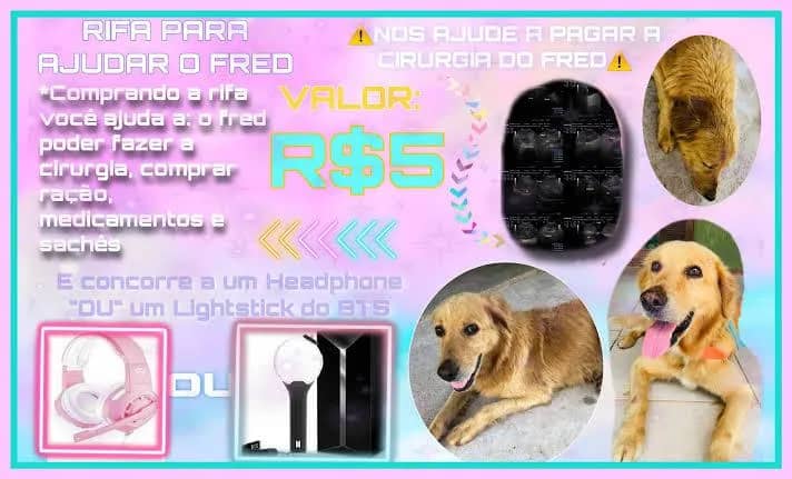 Imagem da campanha Rifa solidária cirurgia Angelina