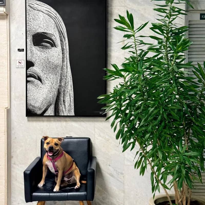 Imagem da campanha SOS Sul - Quadro incrível do Cristo, artista Dul7