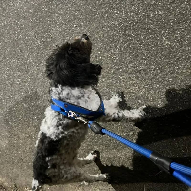 Imagem da campanha SORTEIO DIA DOS NAMORADOS