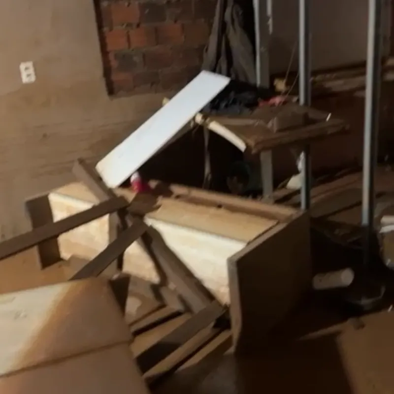 Imagem da campanha Restauração da nossa casa.