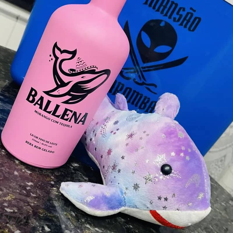 Imagem da campanha Ballena + Baleia