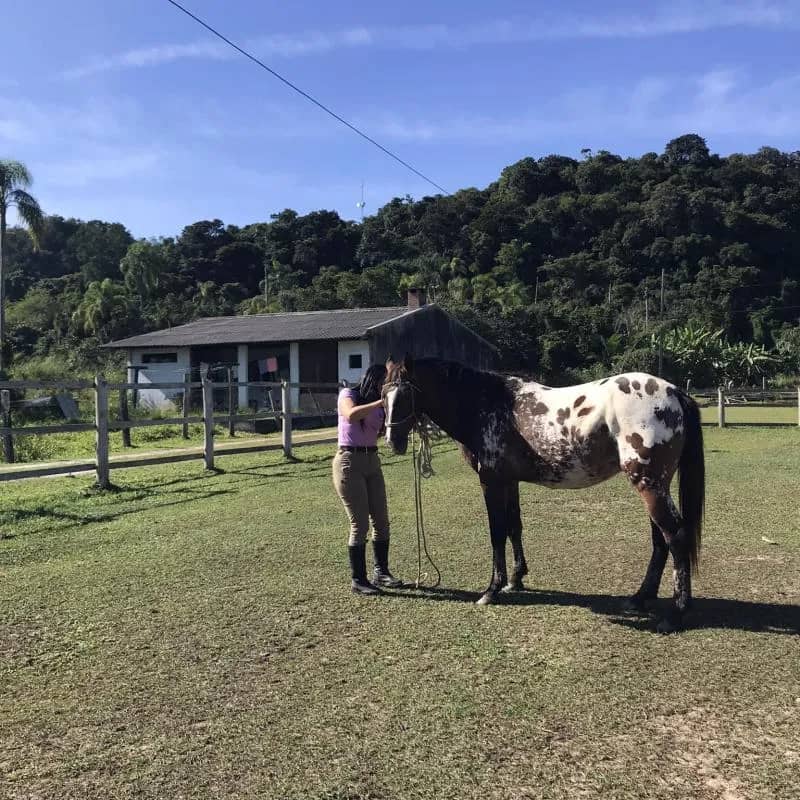 Imagem da campanha Rifa em Prol ajuadar Associação Martin Mundt De Equoterapia -AMME