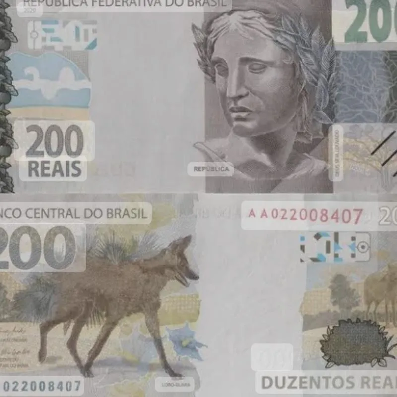 Imagem da campanha Rifa