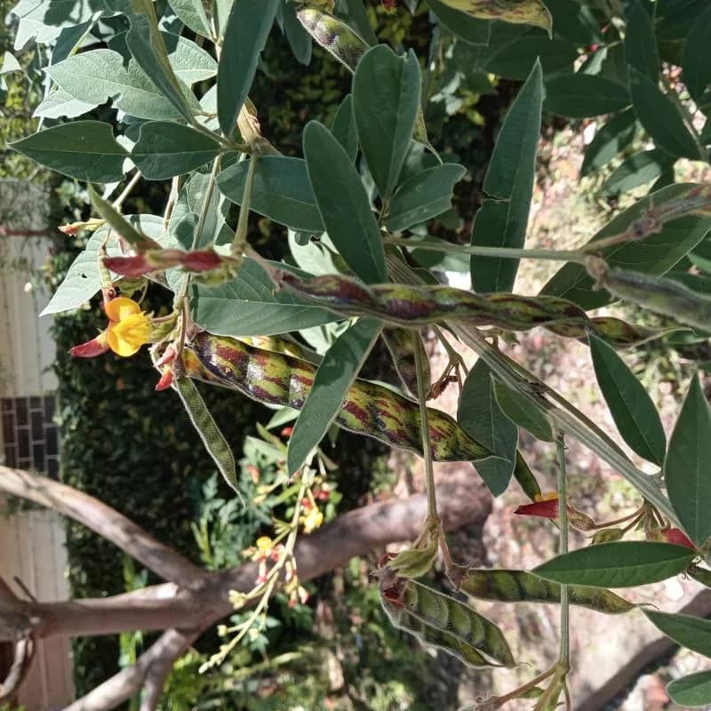 Imagem da campanha Perfume O Boticário até R$100,00