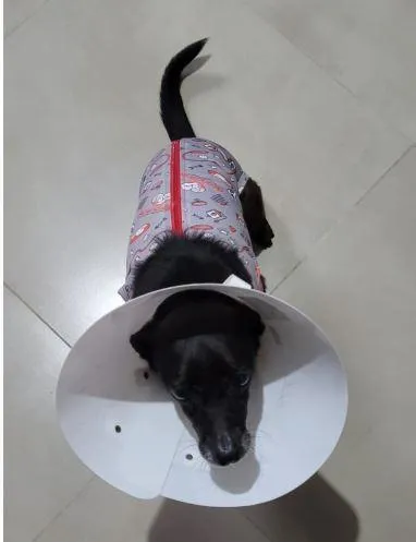 Imagem da campanha AÇÃO ENTRE AMIGOS