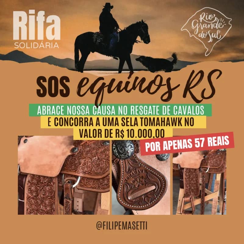 Imagem da campanha SOS Equinos - RS