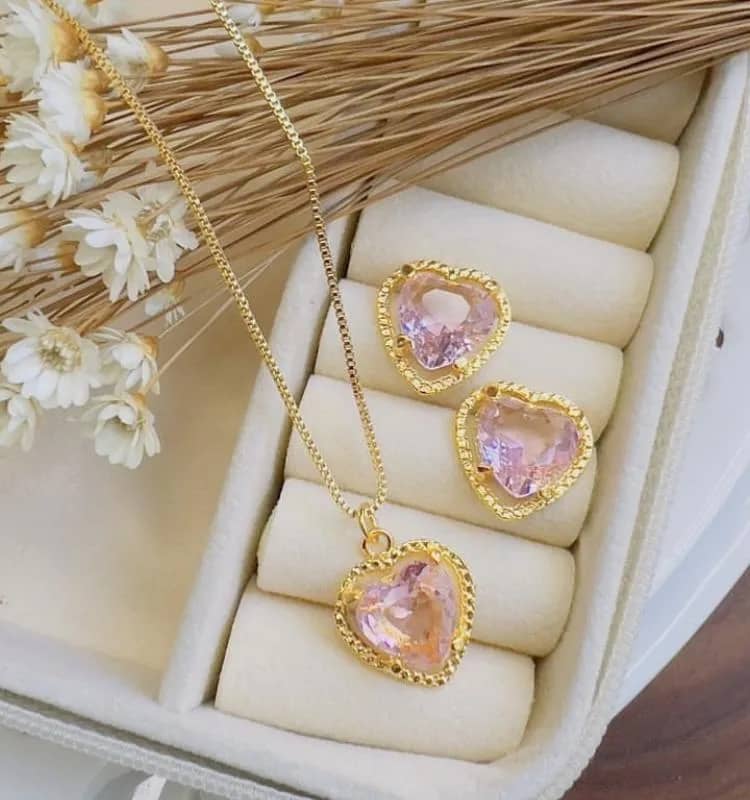 Imagem da campanha Ajudar nos custos do tratamento da nossa cadela Aysha ! 🐩