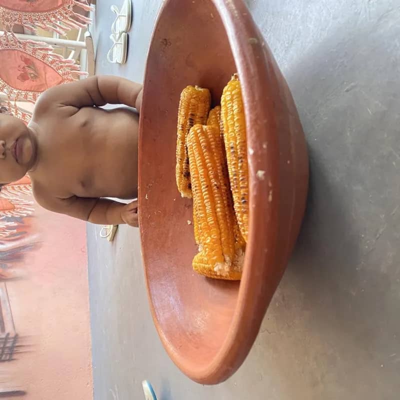 Imagem da campanha Flor