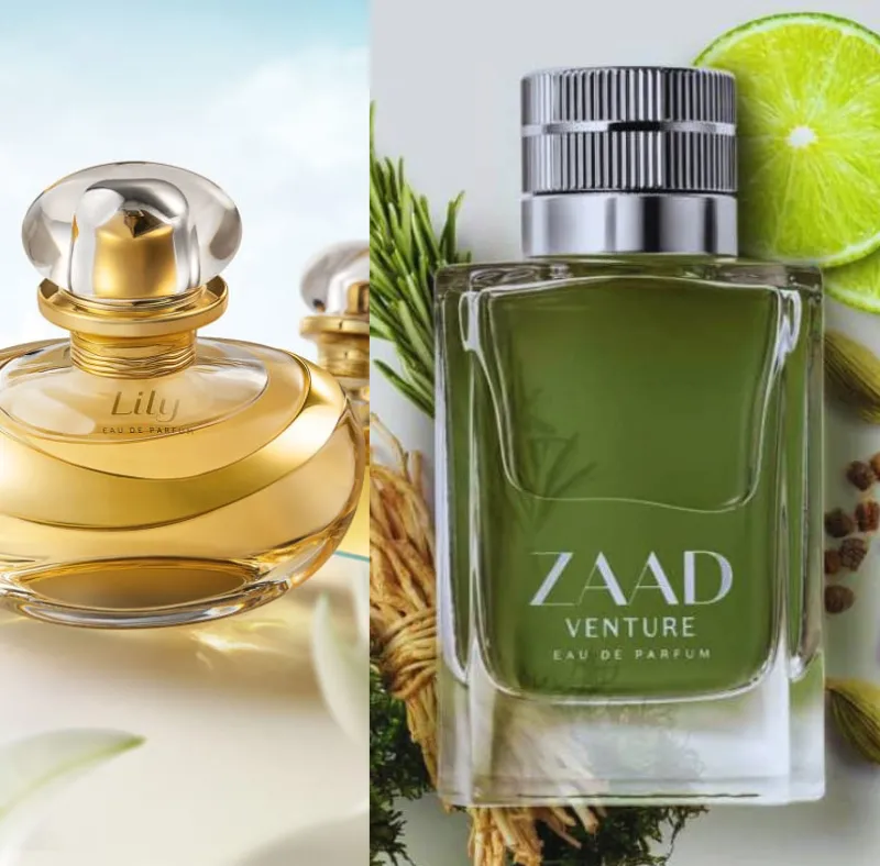 Imagem da campanha Zaad Venture,Lily ou R$500 no Pix