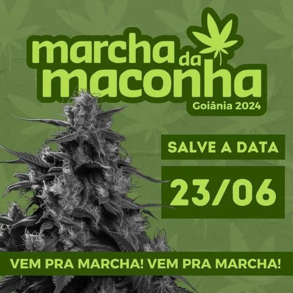 Imagem da campanha Contribuição para Confecção de BANDEIRAS e FAIXAS/MDM GYN 2024.