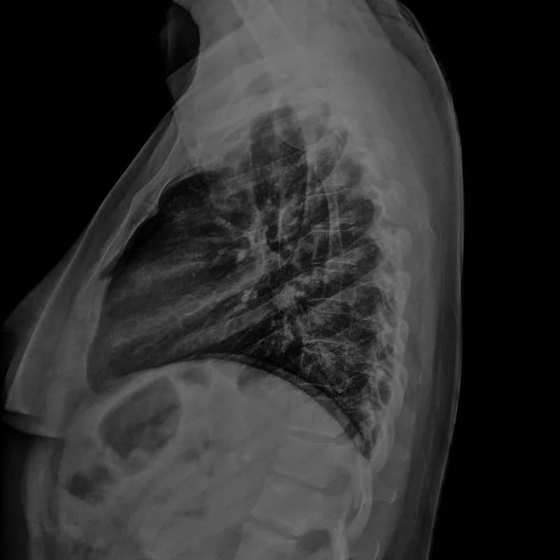 Imagem da campanha AJUDE A FEIJOADA