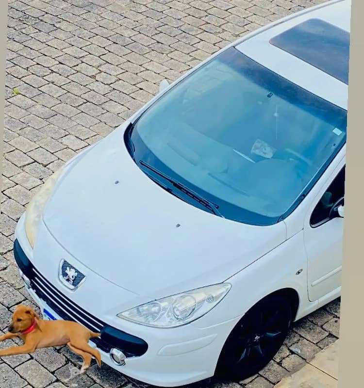 Imagem da campanha Missão impossível/ Motor Batido 🥲