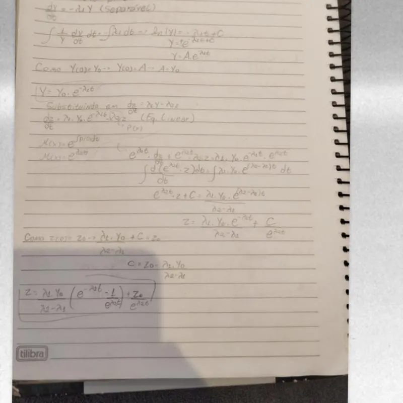 Imagem da campanha aaifvnoav