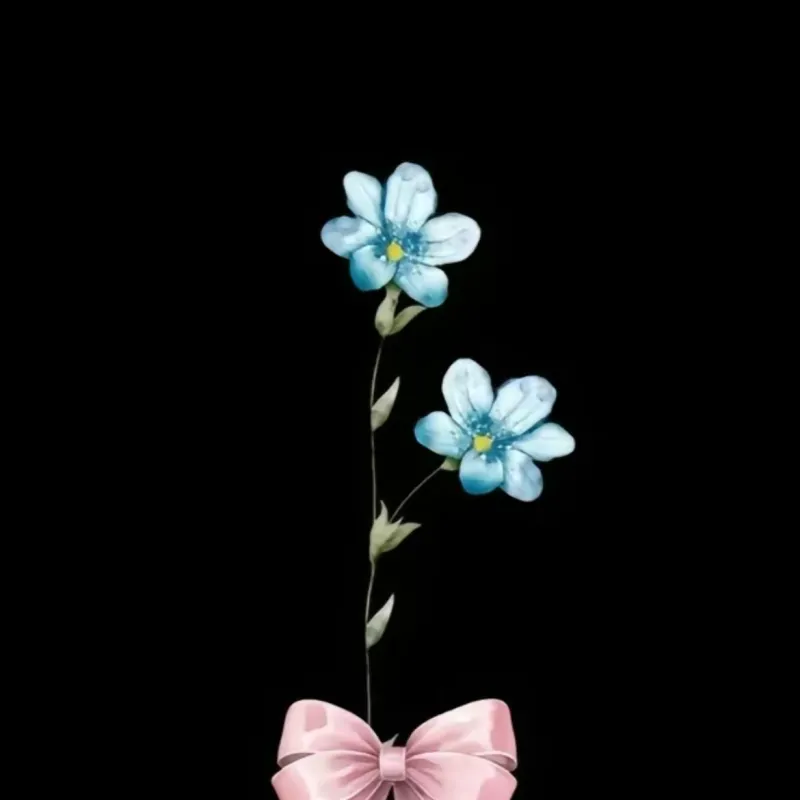 Imagem da campanha Rifa da nossa viagem