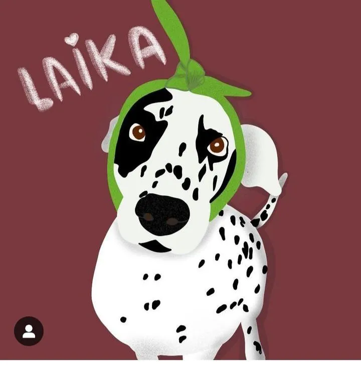 Imagem da campanha Cirurgia da Laika ❣️