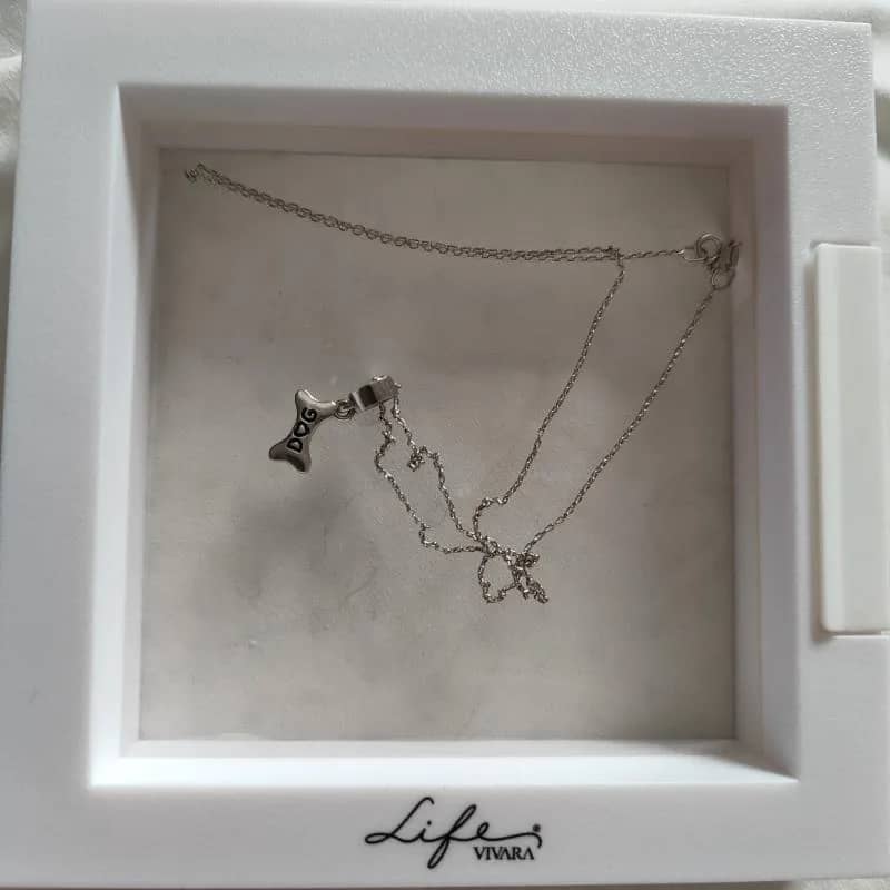 Imagem da campanha Rifa para ajudar os animais