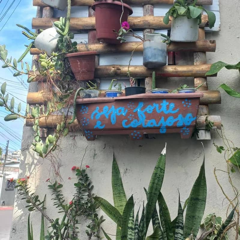 Imagem da campanha Rifa de plantas