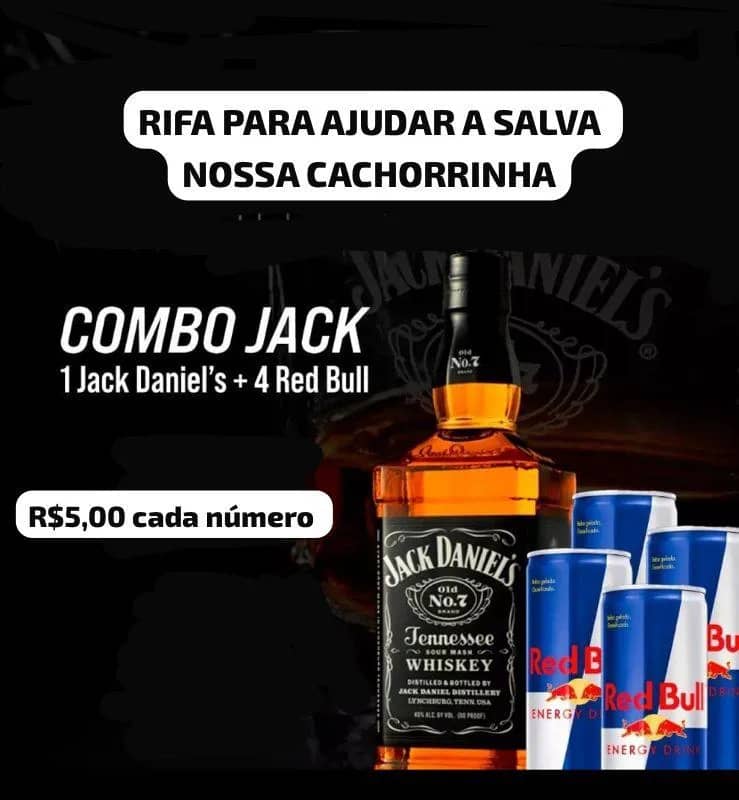 Imagem da campanha NÓS AJUDE A SALVAR NOSSA CACHORRINHA QUE FOI ATROPELADA